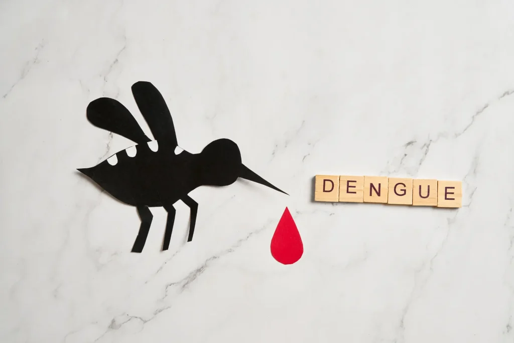Dengue: cuándo realizarse la prueba y qué significan los resultados